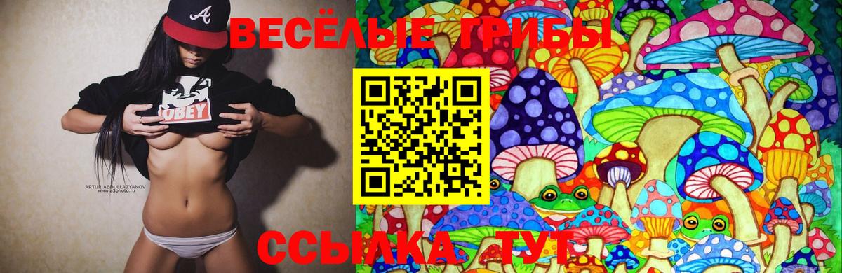 Галлюциногенные грибы Cubensis  Вход с VPN  Чебаркуль  Галлюциногенные грибы GOLDEN TEACHER 