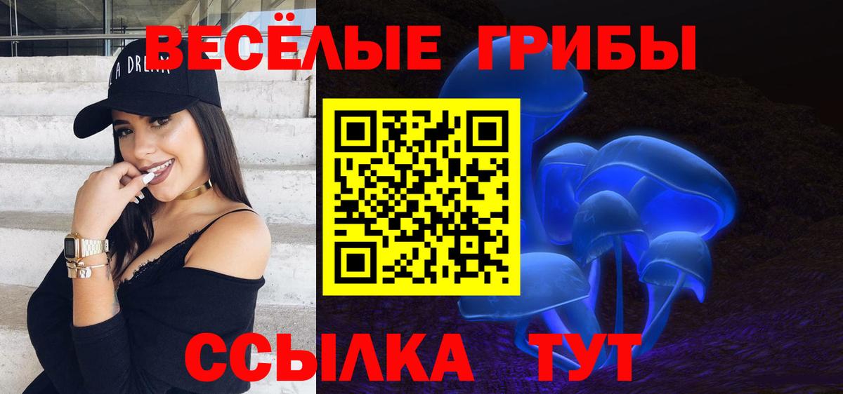 Галлюциногенные грибы GOLDEN TEACHER Чебаркуль